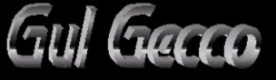 Logo Gul Gecco